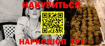 сатива Кунгур